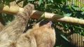 � ����� ���� ��������� ����� �������� � ����������, ����� ����� �� ���������