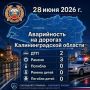 �� ����� ������������ ���������������� �������� 125 ��������� ������ ��������� ��������, � ��� �����:
