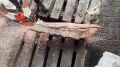 Вот это улов: из контейнера с тунцом в Петербурге изъяли полтонны кокаина