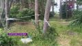 Некоторые пляжники открыли купальный сезон персональным позором