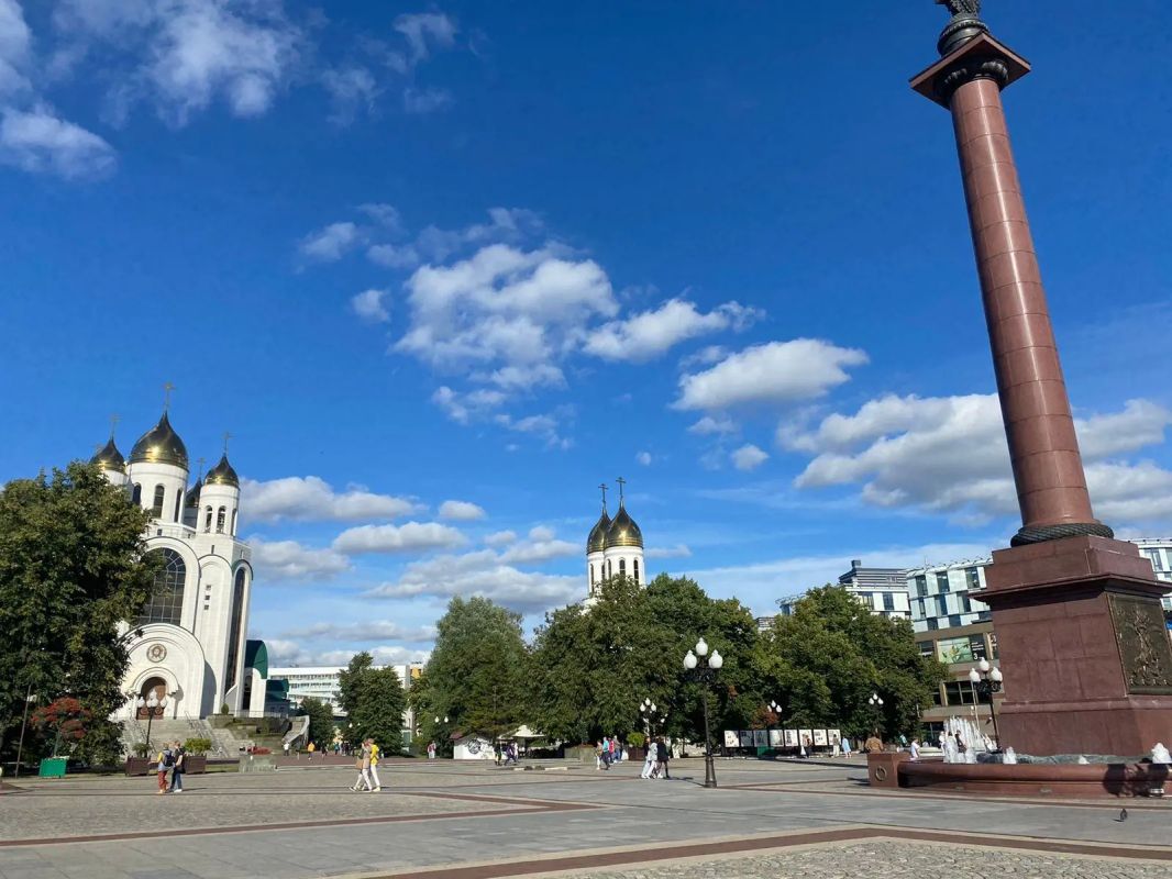 В Минсельхозе рассказали, откуда в Калининграде взялся неприятный запах