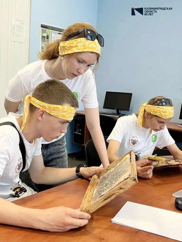 Одна секунда до победы: как юные пчеловоды из Калининградской области боролись за право поехать в Москву Одна секунда до победы: как юные пчеловоды из Калининградской области боролись за право поехать в Москву