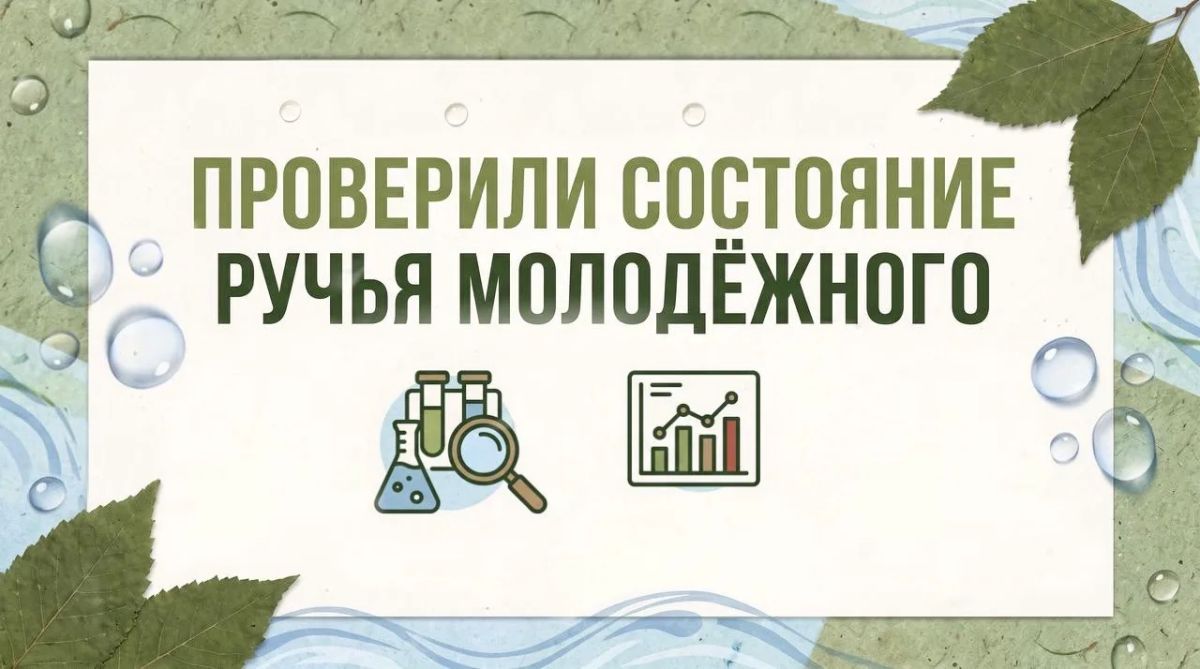 Проверили состояние ручья Молодёжного