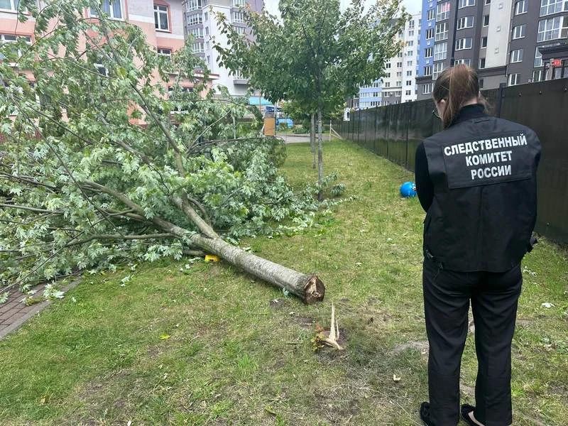 В Калининграде будут судить заведующую детским садом