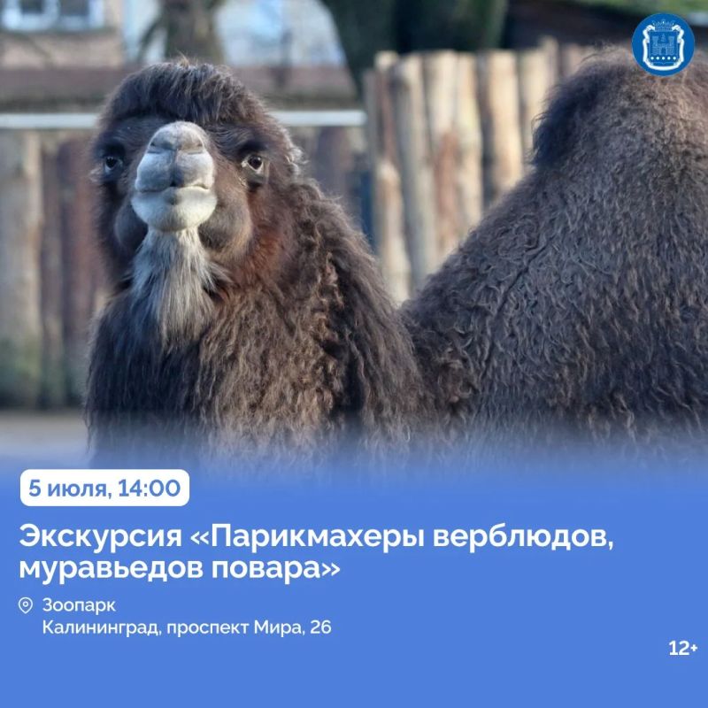 4 и 5 июля в Калининграде пройдут мероприятия к 80-летию образования региона и юбилею областного центра 4 и 5 июля в Калининграде пройдут мероприятия к 80-летию образования региона и юбилею областного центра