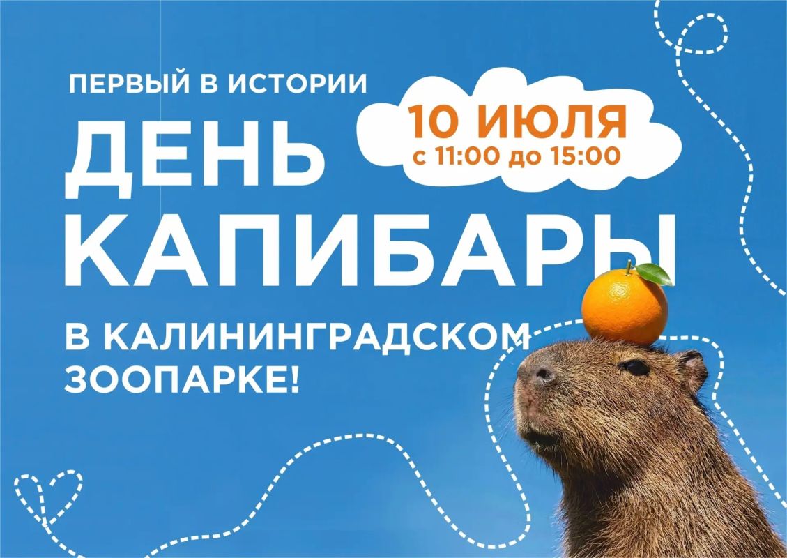 Калининградский зоопарк впервые в своей истории организует масштабное празднование Всемирного дня капибары, которое состоится уже 10 июля