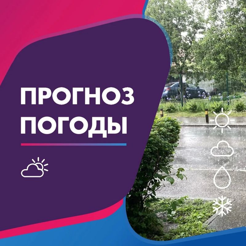ПОГОДА 4 ИЮЛЯ В КАЛИНИНГРАДСКОЙ ОБЛАСТИ