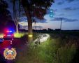 � ����������� ������ Volkswagen ������ � ������� � �������� � ����������� ������