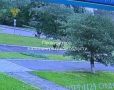 � ������������ ������ �������� ������ �� ������� � ����� ������ ������� ���������� �� ��������