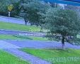 Прокуратура контролирует установление обстоятельств ДТП, в результате которого погиб 4-летний ребенок