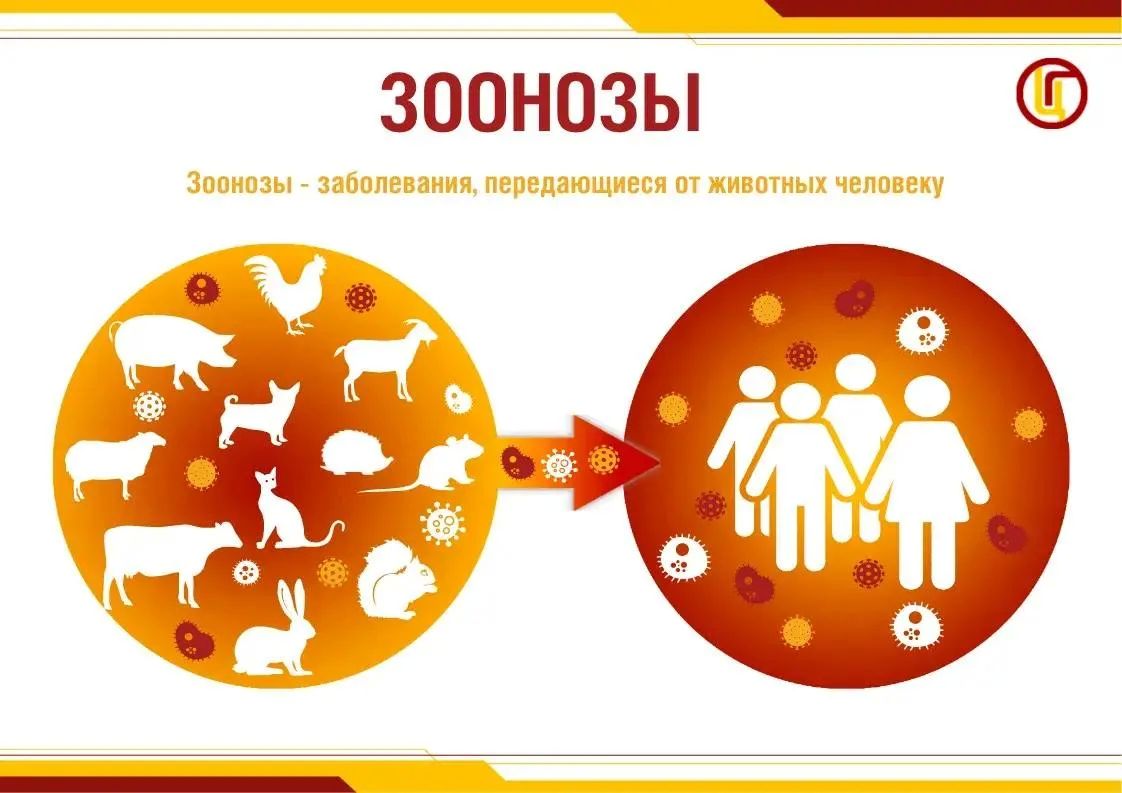 6 июля – Всемирный день зоонозных инфекций