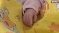 В день 80-летия Калининградской области калининградцев стало больше