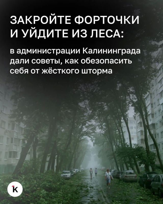 В ночь на 8 июля на Калининградскую область обрушится ураганный ветер
