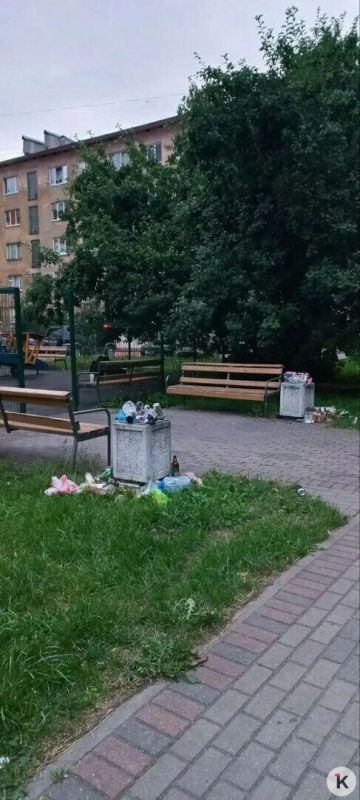 Детскую площадку на Портовой каждый вечер заваливают мусором