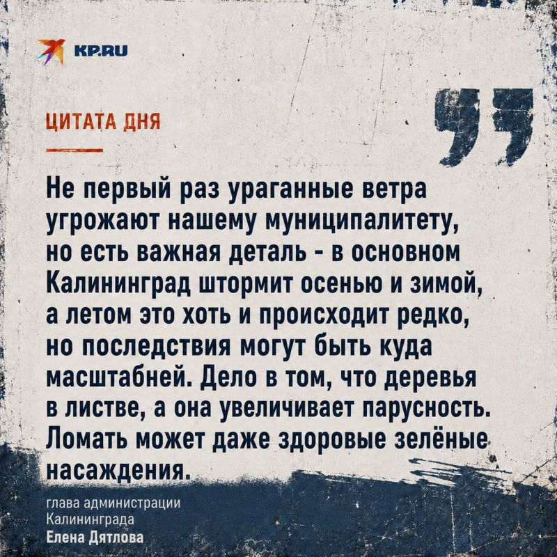 Не загружается картинка? Подпишись на КП Калининград в Максе и смотри её там