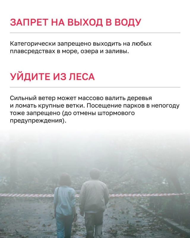 В ночь на 8 июля на Калининградскую область обрушится ураганный ветер В ночь на 8 июля на Калининградскую область обрушится ураганный ветер
