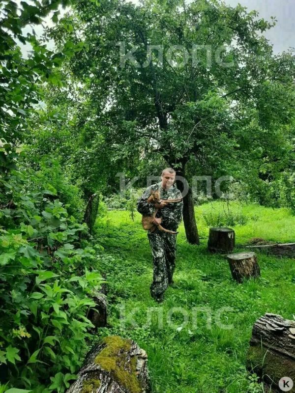 В Краснознаменске лесничий спас косулёнка, который два дня прятался во дворе дома В Краснознаменске лесничий спас косулёнка, который два дня прятался во дворе дома