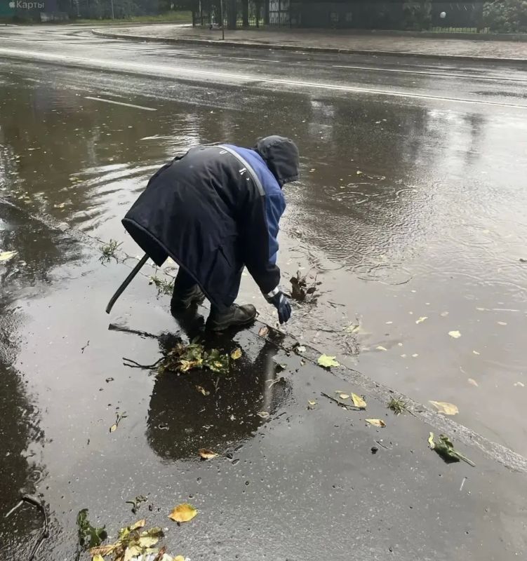 Елена Дятлова: Ураганных значений порывы ветра в Калининграде не достигли, но и порывы до 17 м/с способны натворить бед Елена Дятлова: Ураганных значений порывы ветра в Калининграде не достигли, но и порывы до 17 м/с способны натворить бед