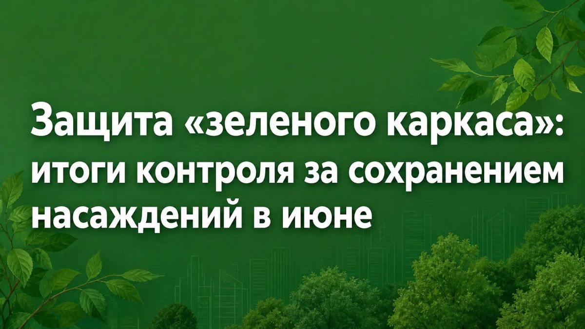 Защита «зеленого каркаса»: итоги контроля за сохранением насаждений в июне