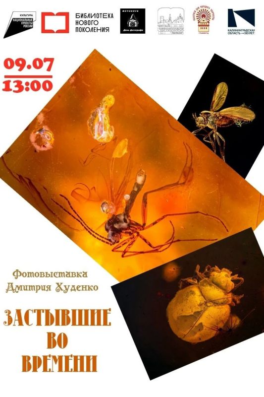 Завтра в Центральной городской библиотеке имени А.А. Лунина в Черняховске пройдет уникальная фотовыставка