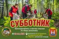 СУББОТНИК ПО СБОРУ ВАЛЕЖНИКА В ПОСЁЛКЕ МЕДОВОЕ-КОРНЕВО