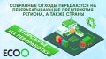Новые видеоролики о раздельном сборе отходов транслируются в общественном транспорте Калининграда