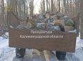 Прокуратура Правдинского района направила в суд уголовное дело о незаконной рубке с причинением ущерба в особо крупном размере