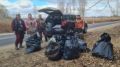 Калининградцев снова пригласили собирать валежник