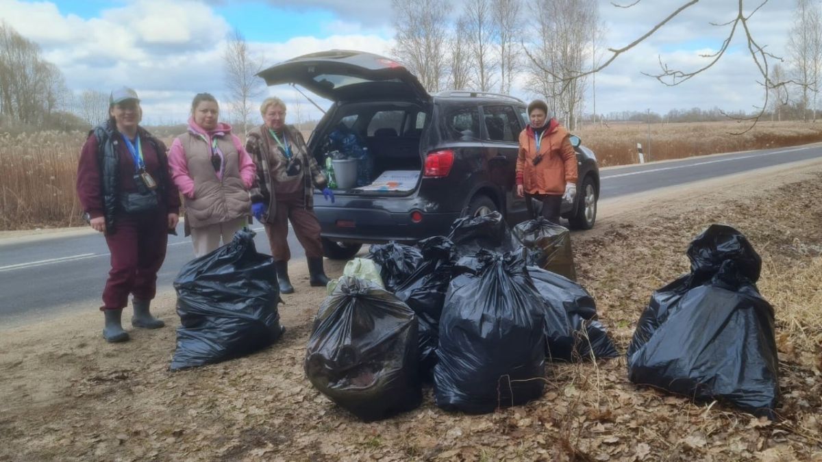 Калининградцев снова пригласили собирать валежник