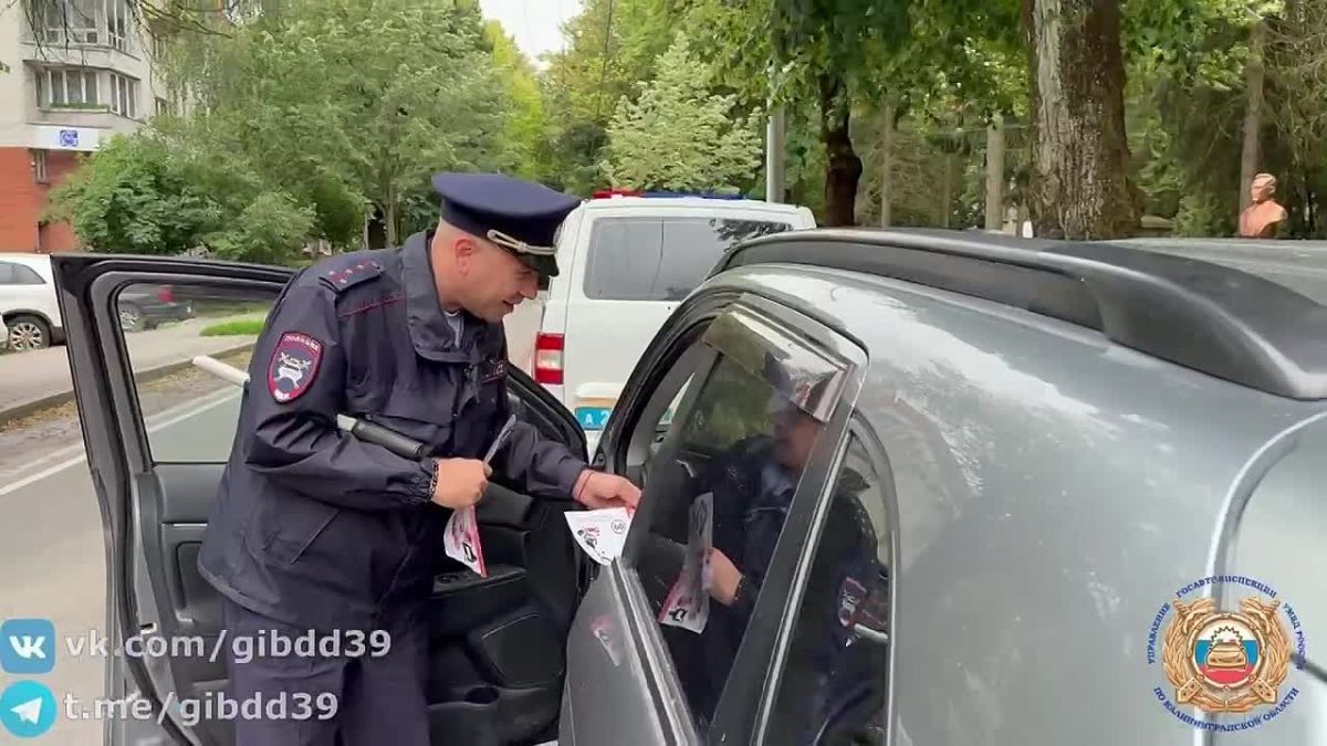 В Калининграде в рамках специального профилактического мероприятия «Пешеход» сотрудники Центра ДиТН ПБДД ГИБДД провели мероприятие «Будь внимателен»