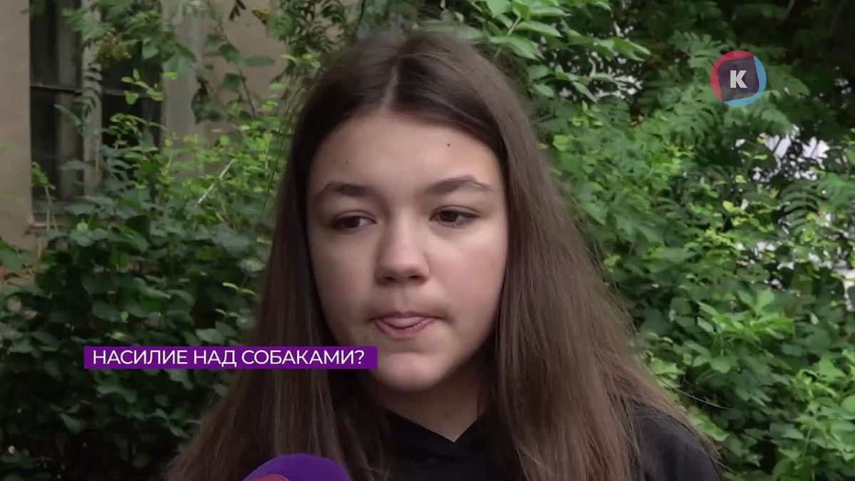 В Калининграде на улице Поперечной разгорается конфликт из-за жестокого обращения с животными