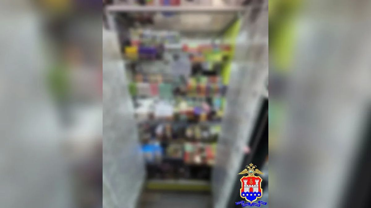 В двух магазинах Светлогорска полицией изъяты вейпы и жидкости к ним без маркировки на 6,4 млн рублей В двух магазинах Светлогорска полицией изъяты вейпы и жидкости к ним без маркировки на 6,4 млн рублей