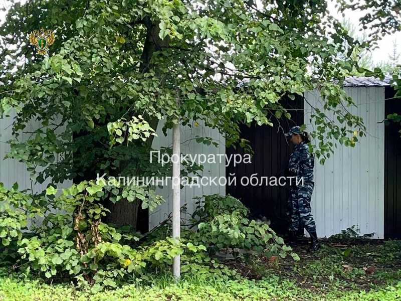 «Родила и убила в туалете»: Калининград потрясён изуверством над младенцем