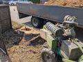 Снесённые липы на проспекте Победы оказались аварийными