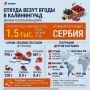 В Калининградскую область с начала года завезли уже больше 1,5 тыс тонн свежих ягод
