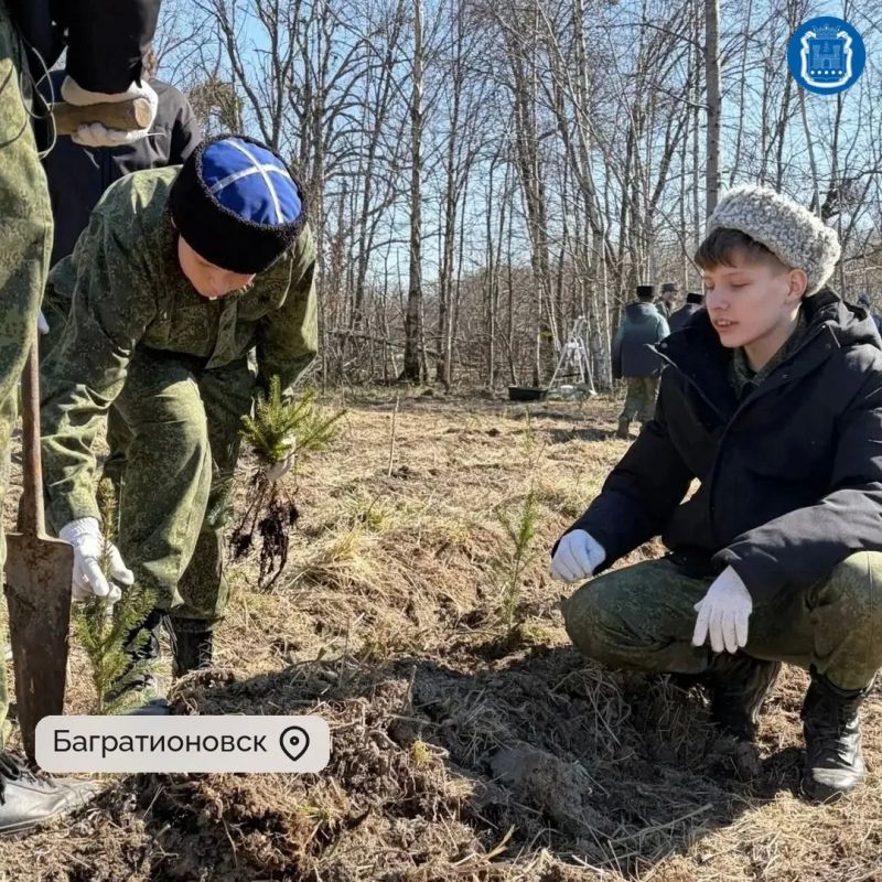 К акции «Сад памяти» в этом году присоединились жители 11 муниципалитетов региона К акции «Сад памяти» в этом году присоединились жители 11 муниципалитетов региона