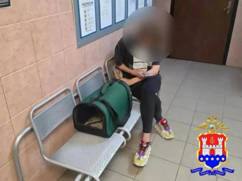 В Светлогорске девушку прихватили с голубями В Светлогорске девушку прихватили с голубями
