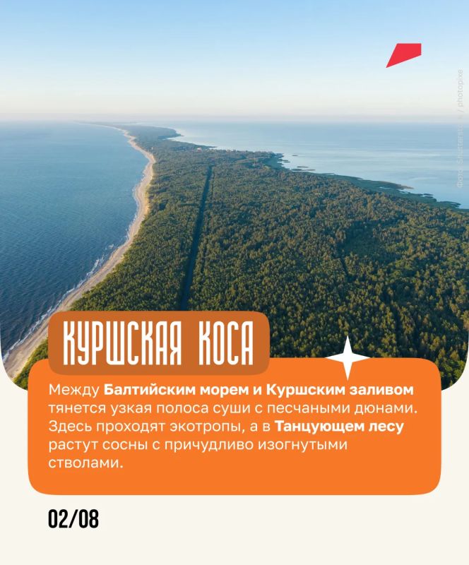 Янтарь, дюны и коты — всё это ждёт путешественников в Калининградской области Янтарь, дюны и коты — всё это ждёт путешественников в Калининградской области