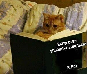 Книги могут помочь прожить дольше — к такому выводу пришли ученые