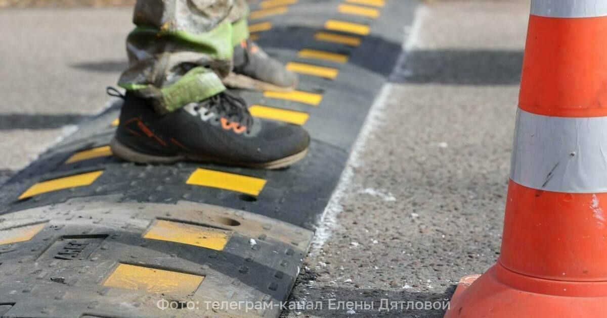 Власти Калининграда рассказали, сколько лежачих полицейских установили на дорогах