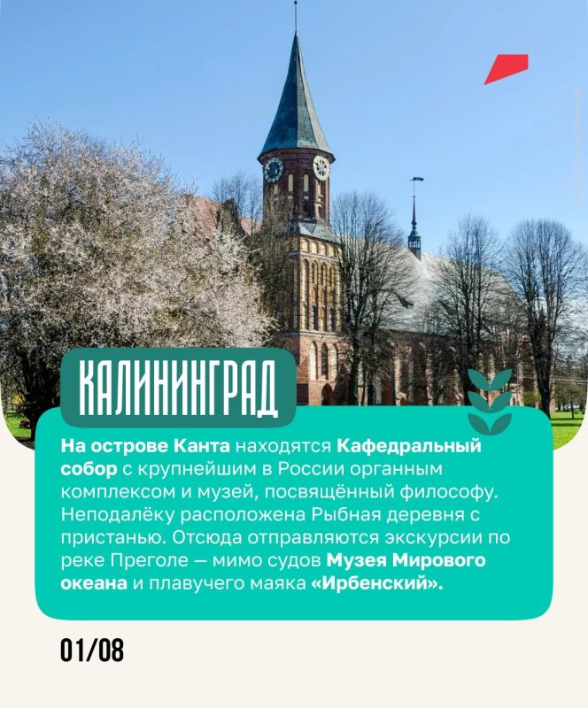 Янтарь, дюны и коты — всё это ждёт путешественников в Калининградской области Янтарь, дюны и коты — всё это ждёт путешественников в Калининградской области