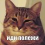 Сегодня отмечается День русской лени