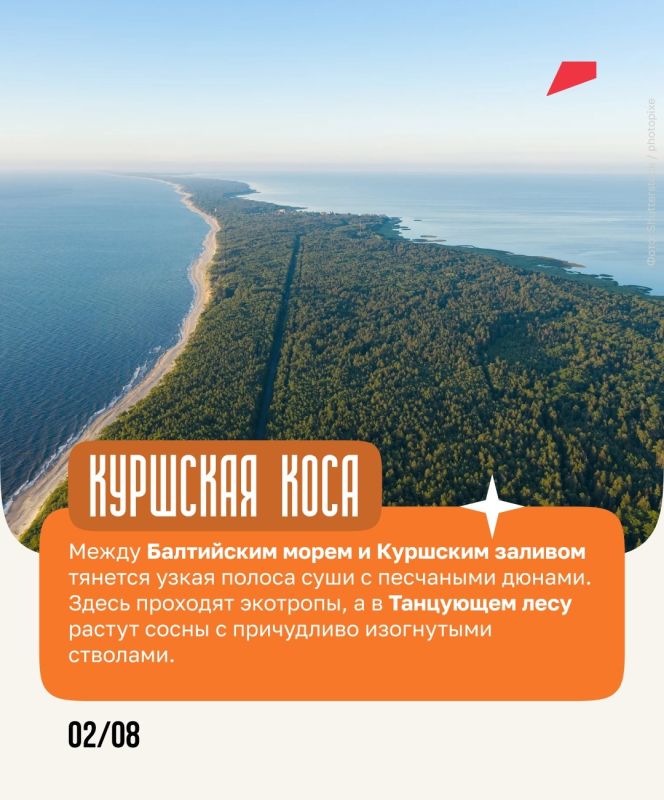 Янтарь, дюны и коты — всё это ждёт путешественников в Калининградской области Янтарь, дюны и коты — всё это ждёт путешественников в Калининградской области