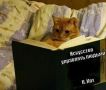 Книги могут помочь прожить дольше — к такому выводу пришли ученые