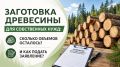 ��������� ��������� ��� ����������� ����: ������� ������� �������� � ��� ������ ���������?