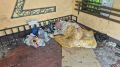 Калининградец помог бездомному с ампутированной ногой выбраться с автобусной остановки