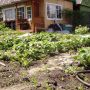 Садоводство: радость или обременение? Основные нюансы, о которых стоит знать