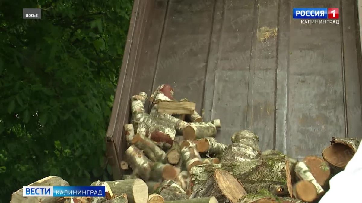 В регионе продолжается заготовка древесины для собственных нужд.