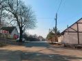 В Зеленоградске за мучения котят заставят трудиться 52-летнего