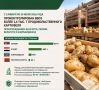 Россельхознадзор проконтролировал ввоз более 1,4 тысячи тонн импортного картофеля